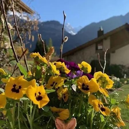 Im Underem Gfell 28 * Meiringen